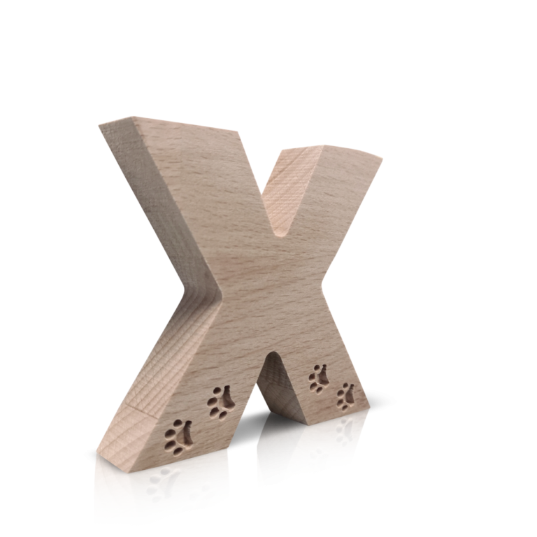 Kleine letter x